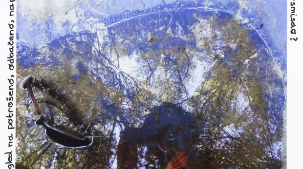 05 18 10 19 MTD_Mljet_OK